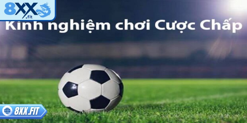 Phân tích phong độ đội bóng là một trong những chiến lược hiệu quả 