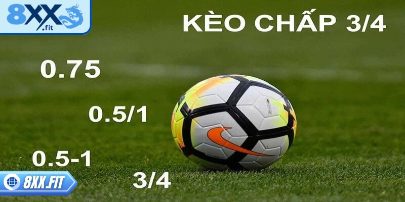 Tổng quan về kèo chấp trực tiếp 8XX