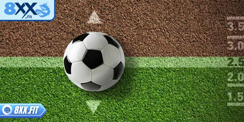 Kèo handicap chấp nửa trái là một trong những biến thể nổi bật của kèo handicap 