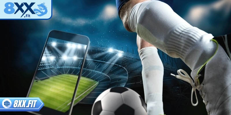 Người chơi mới cần nắm vững các loại kèo quan trọng để chọn